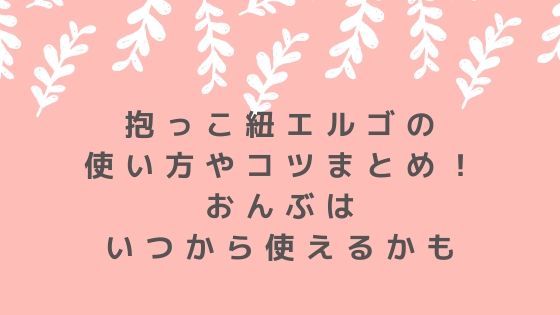 抱っこ紐エルゴの使い方やコツまとめ おんぶはいつから使えるかも Candy Room